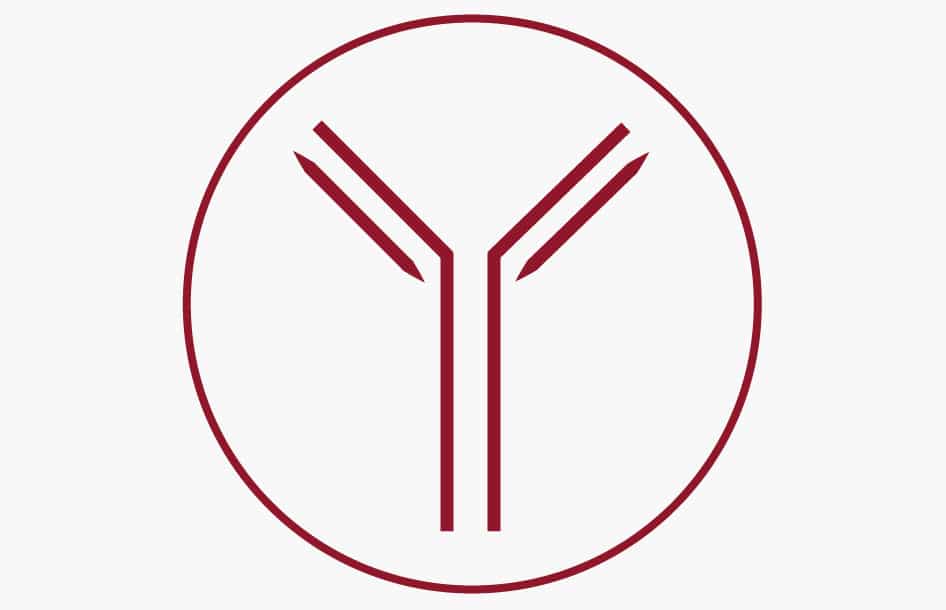 German Ig Projets Dev