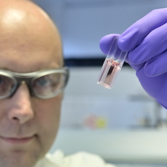 Header Imageheader Lfb Grant Resized