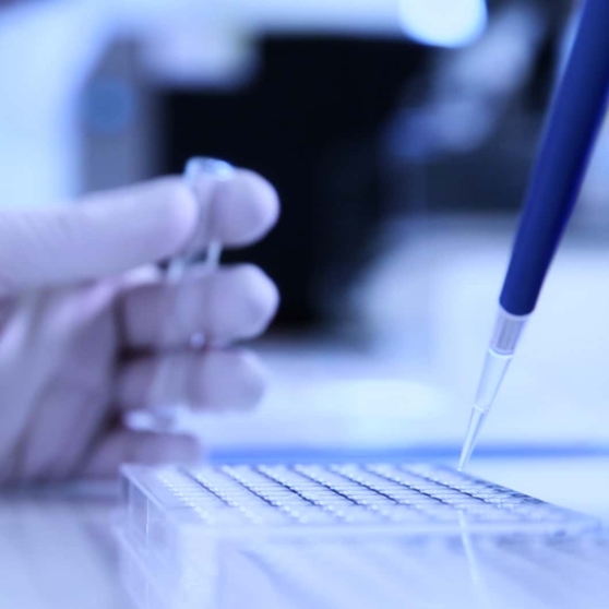 Header Imageheader Projets Strat Resized