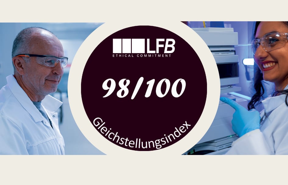 Gmbh Indice Égalité2024