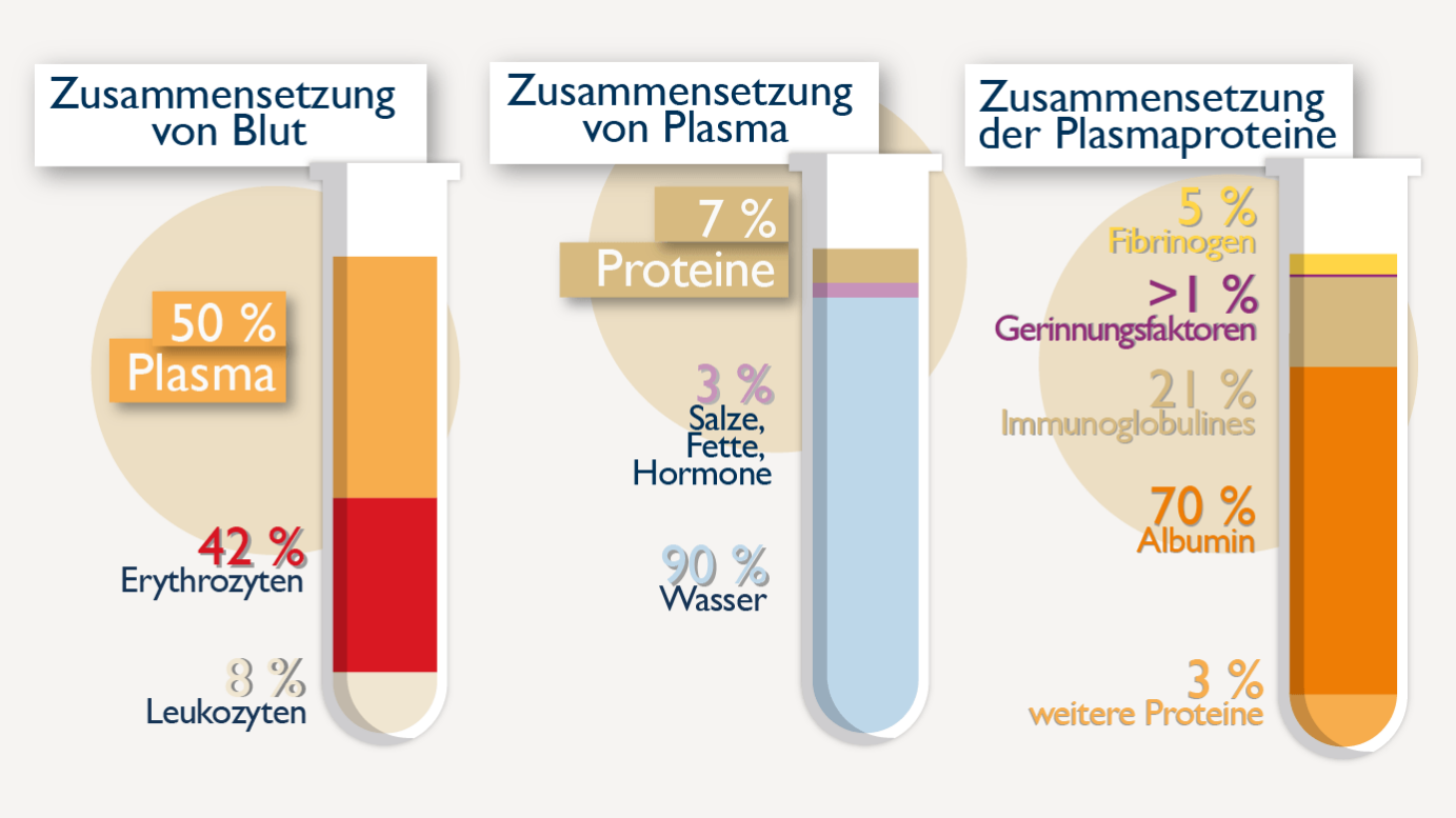 Zusammensetzung von Blut: 50% plasma, 42% Erythrozyten und 8 % Leukozyten Zusammensetzung von Plasma: 7% Proteine, 3% Salze, Fette, Hormone und 90% Wasser Zusammensetzung der Plasmaproteine: 5 % Fibrinogen, >1% Gerinnungsfaktoren, 21% Immunoglobulines, 70% Albumin und 3% weitere Proteine