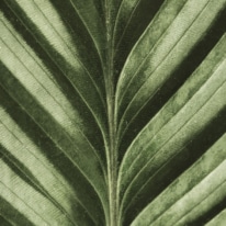 Notre Raisonetre En Action Header