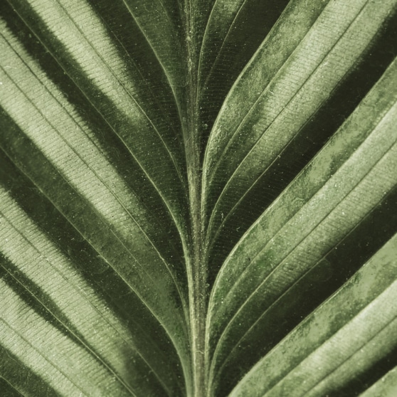 Notre Raisonetre En Action Header