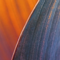 Servirpatients Header